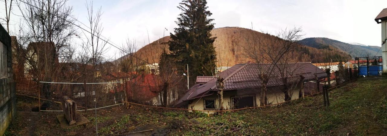 Casa Serban Βίλα Σινάια Εξωτερικό φωτογραφία